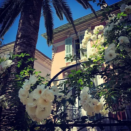 Hotel Villa Rose-2